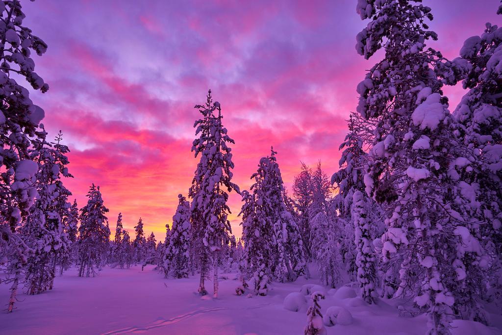 Lapland Guesthouse Kangos Luaran gambar